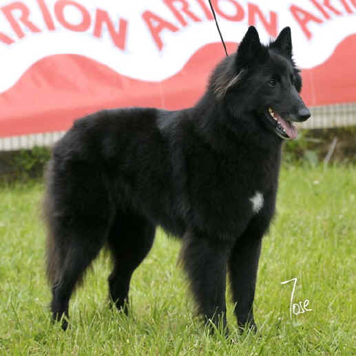 08_irina_loups_mousette_1222_MZN15W.jpg (46614 bytes)