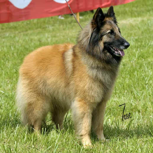 23_insolence_clearings_1675_MZN15W.jpg (69463 bytes)