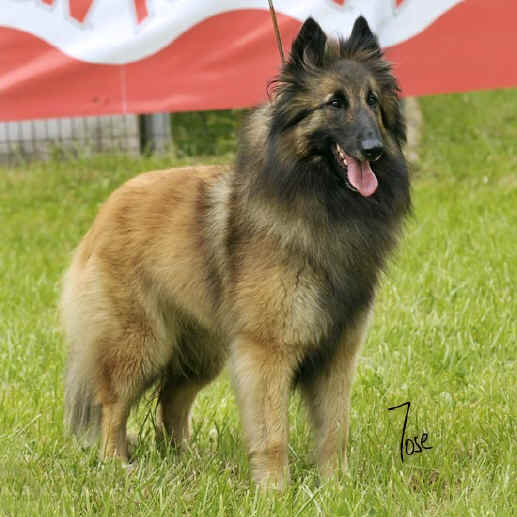 25_mara_jade_clamiu_1724_MZN15W.jpg (59402 bytes)