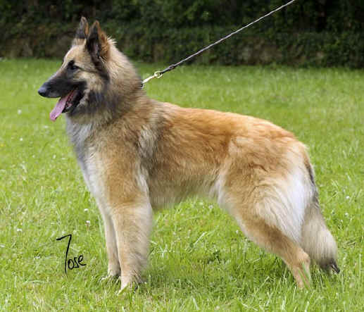 26_mirta_daquivelt_2206_MZN15W.jpg (66132 bytes)