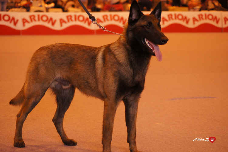 DSC01221.jpg (2159422 bytes)