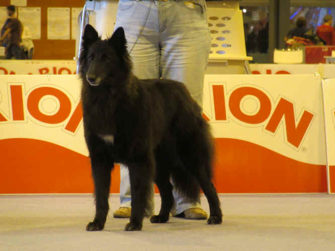 IMG_5046.JPG (3858547 bytes)