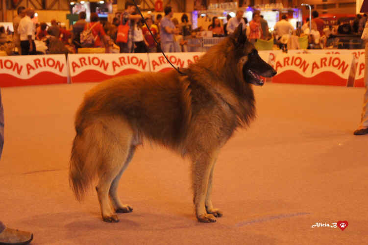 KENT-D'AQUIVELT.jpg (2270387 bytes)