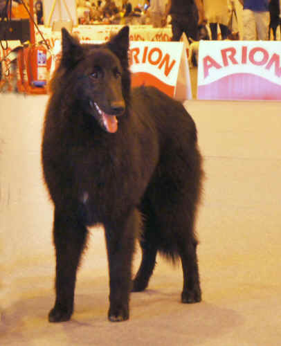 LENOX.jpg (349005 bytes)