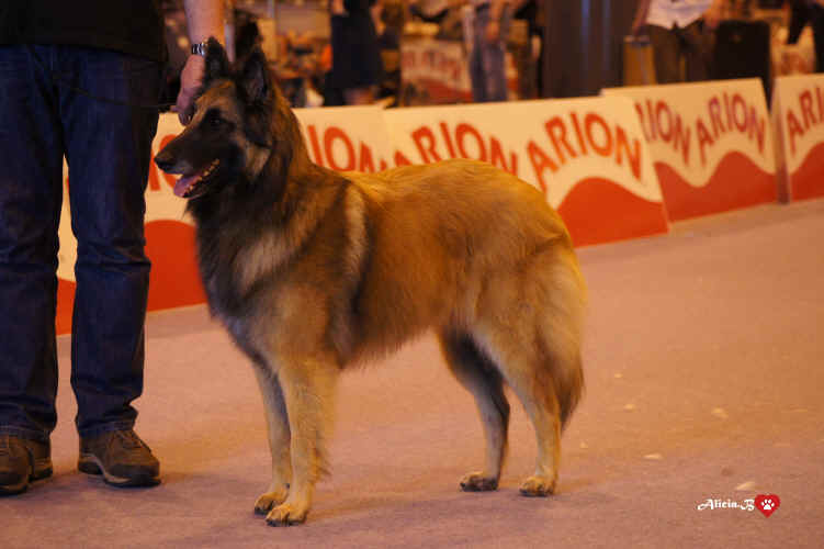 MENTA_D'AQUIVELT.jpg (2207482 bytes)