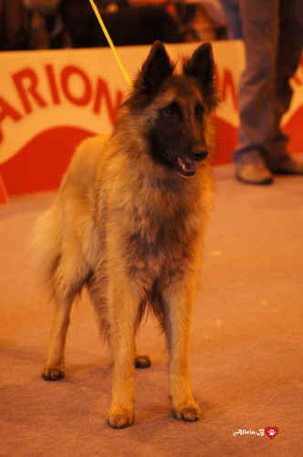 NORA-FONTENESTAS.jpg (2276455 bytes)