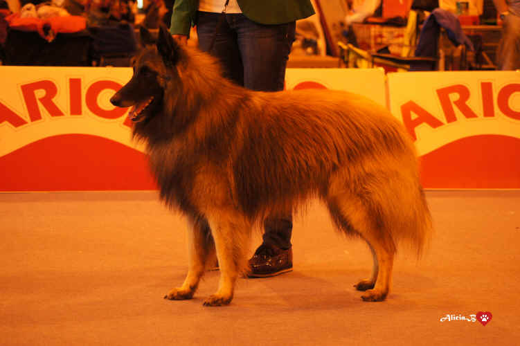 ODIX PEDRA LUME.jpg (2332462 bytes)