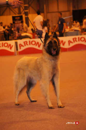 ODRY.D'AQUIVELT.jpg (2041243 bytes)