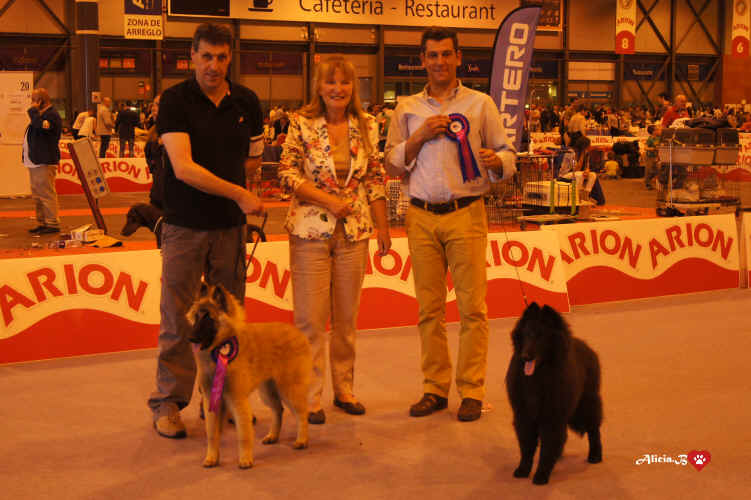 PANDORA D'AQUIVELT_PURPLE ROYAL DES TERRES BERGERES.jpg (2361711 bytes)