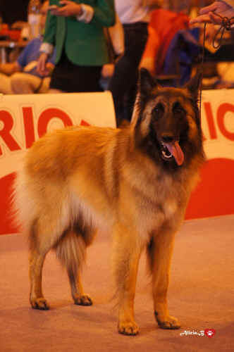 PATU-PATU FUENTENAVA.jpg (2196330 bytes)