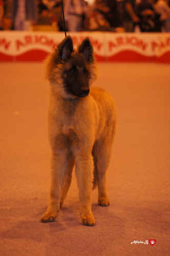 QUETA-PEDRA LUME.jpg (1984264 bytes)