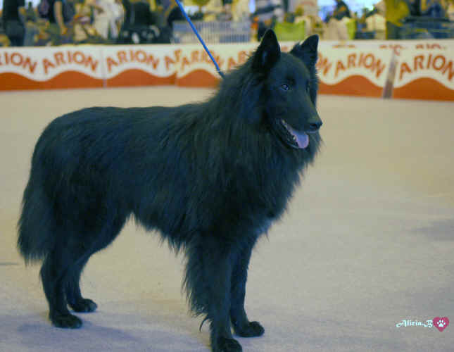 neron2a.jpg (766397 bytes)