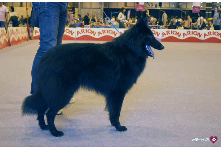 paris.jpg (1490215 bytes)