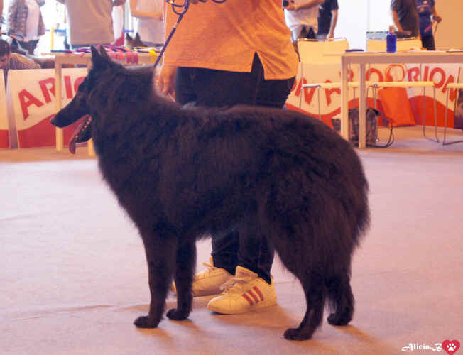 petite2.jpg (817932 bytes)