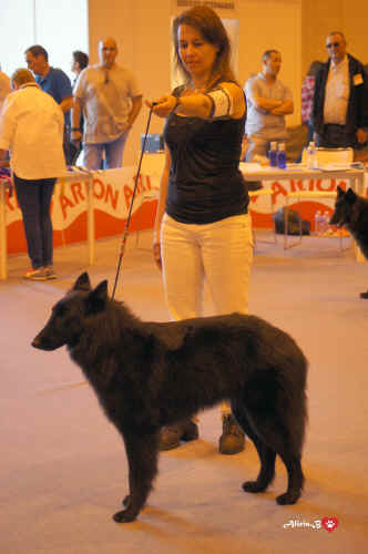 tequila.jpg (845481 bytes)