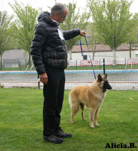 16 odisea de ceibe lar mb2.jpg (1930994 bytes)