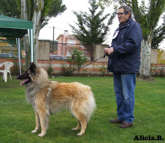 DSC00630lia rincam lumer exc 3 ah.jpg (2475271 bytes)