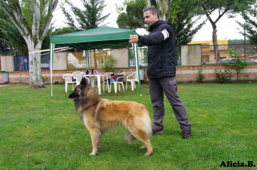 DSC00641mara jara del clamiui exc4 a h.jpg (4076516 bytes)