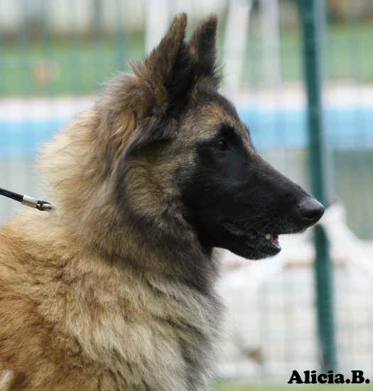 DSC00653nora de fontestas ex1 ccpb.jpg (1791770 bytes)