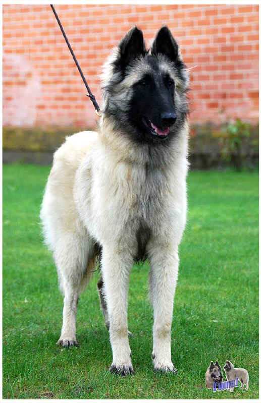 odry.jpg (111258 bytes)