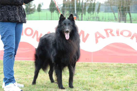 DSC00357.JPG (2239007 bytes)