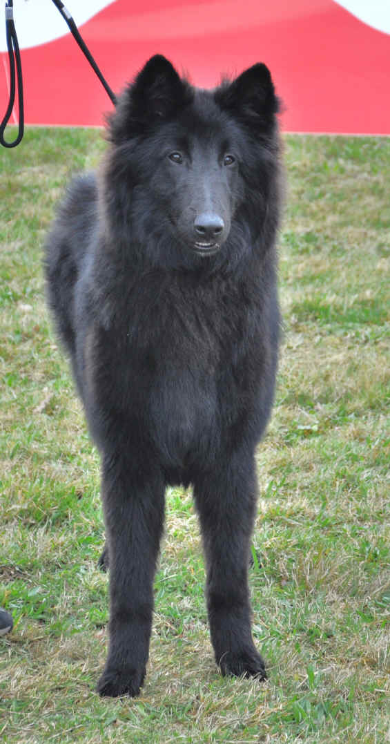 DSC_0153.JPG (2221856 bytes)