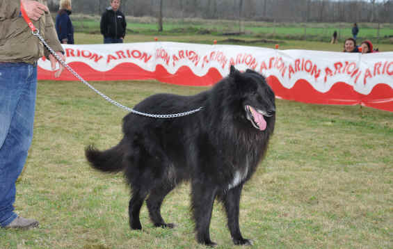 DSC_0278.JPG (1997811 bytes)