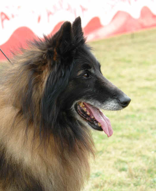 Higinio.JPG (2203288 bytes)