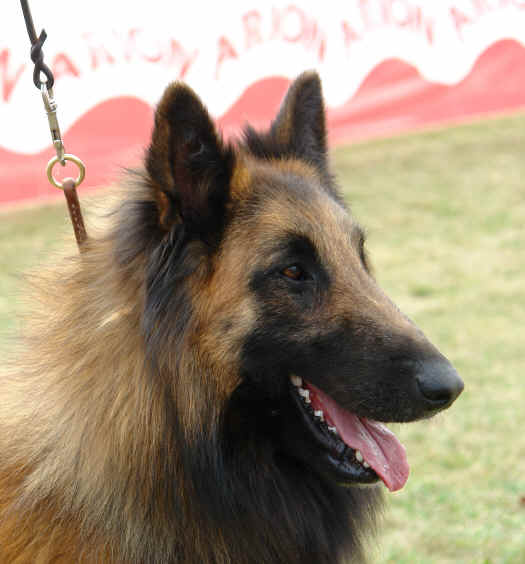 IAN.JPG (2987623 bytes)