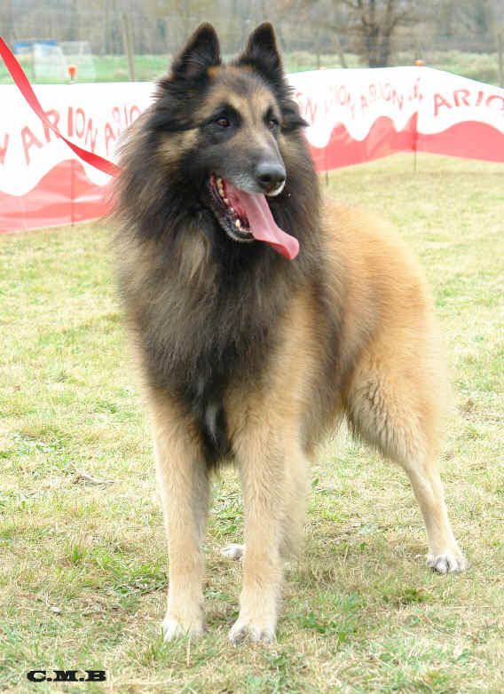 Kenzal2.jpg (4637594 bytes)