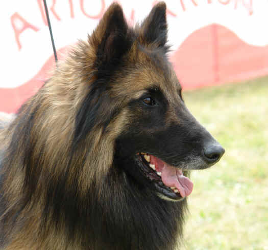 Marko.JPG (3294551 bytes)