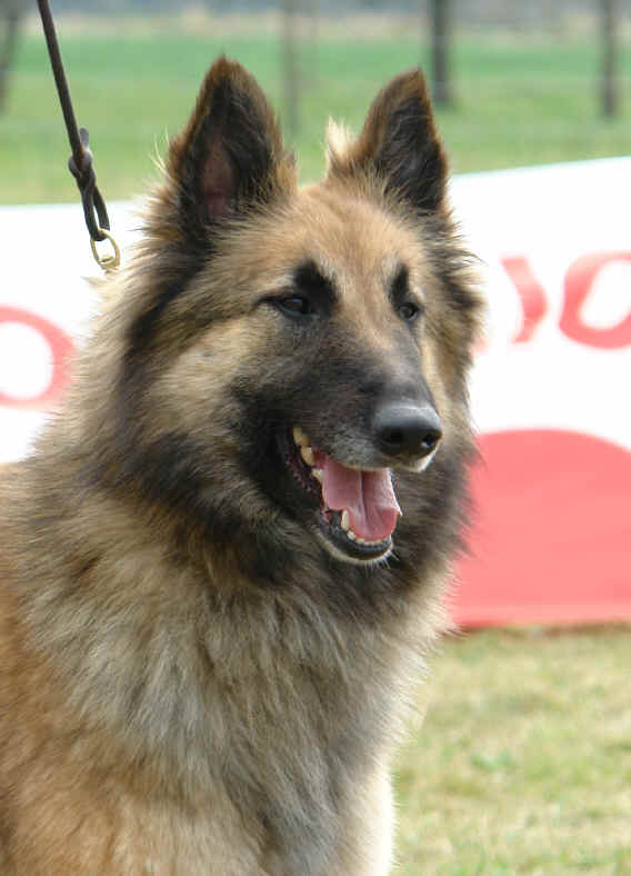 Mirtab.jpg (1325908 bytes)