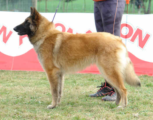 NOELIA.JPG (3368007 bytes)