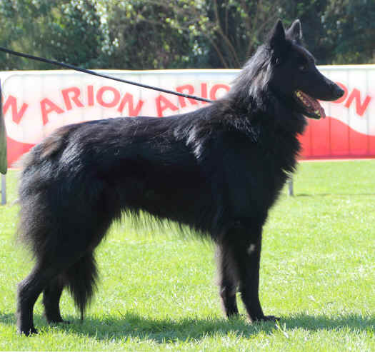 ka.jpg (5419960 bytes)