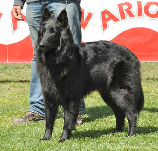 kati.jpg (4311180 bytes)