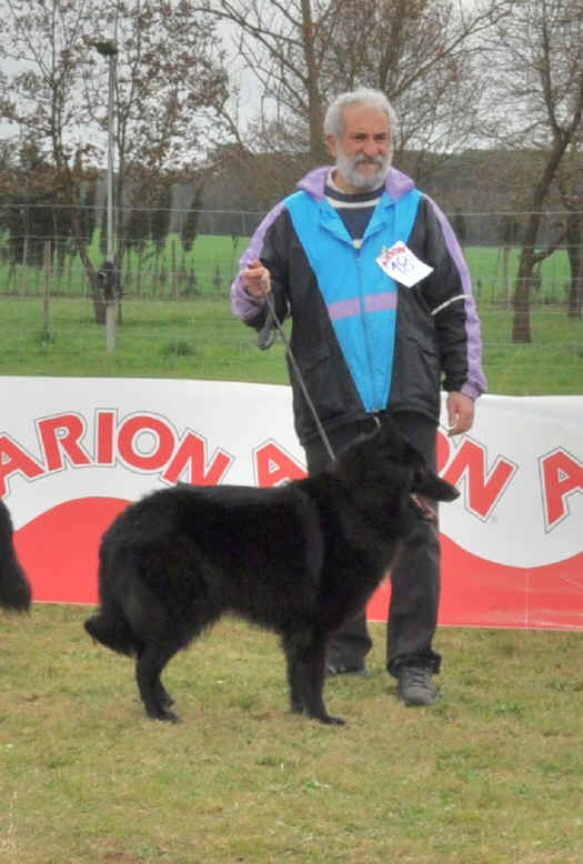 lua.jpg (554493 bytes)