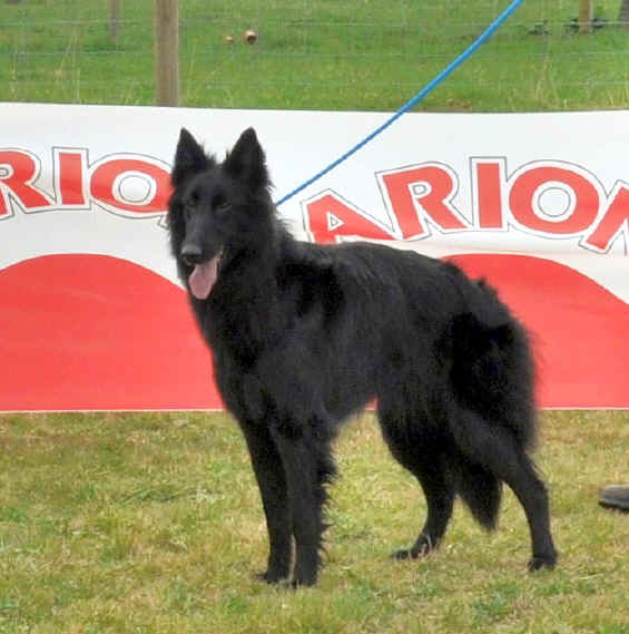 nadia de bellliamici.jpg (314361 bytes)