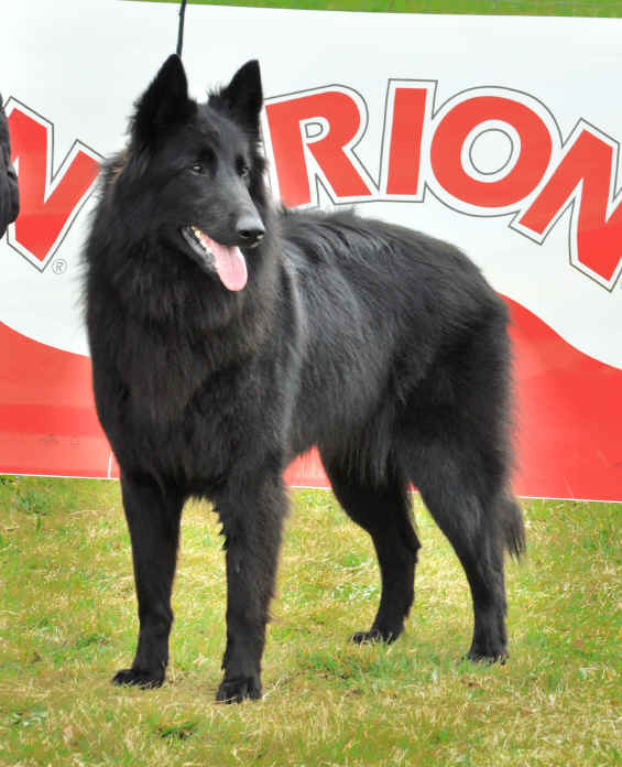 nadine.jpg (2951863 bytes)