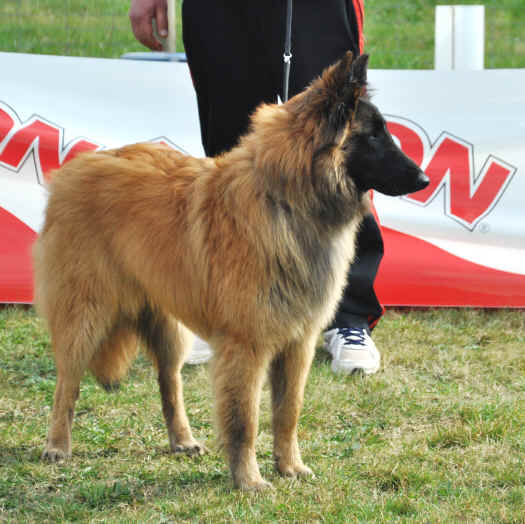 oreo.JPG (3410605 bytes)