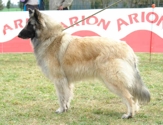 phara.JPG (5090881 bytes)