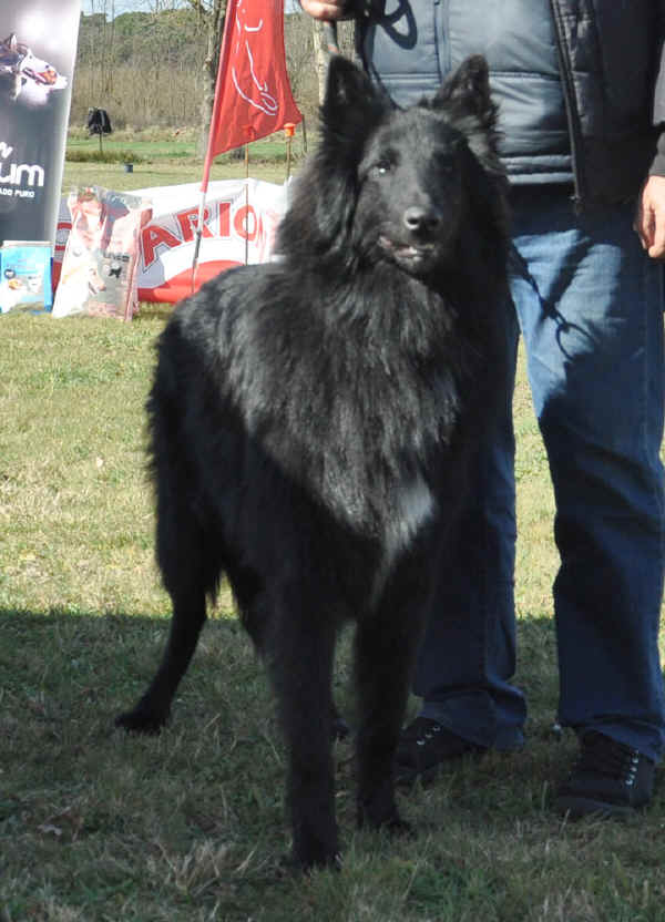 DSC_0078.JPG (169638 bytes)