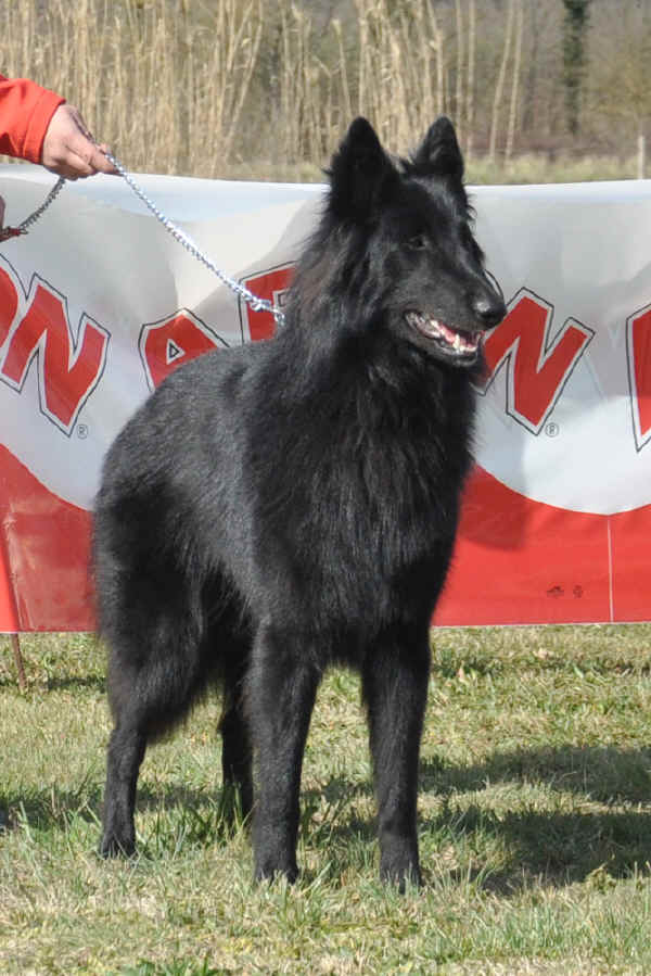 DSC_0153.JPG (181355 bytes)