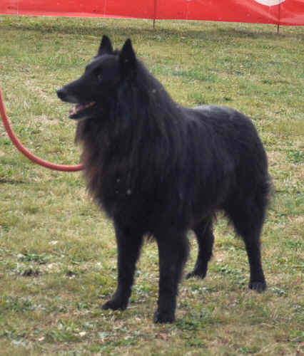 DSC_0363.JPG (214162 bytes)