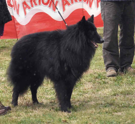 DSC_0367.jpg (192683 bytes)