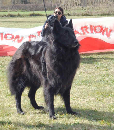 DSC_0398.JPG (176453 bytes)