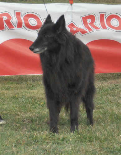 DSC_0475.JPG (129669 bytes)