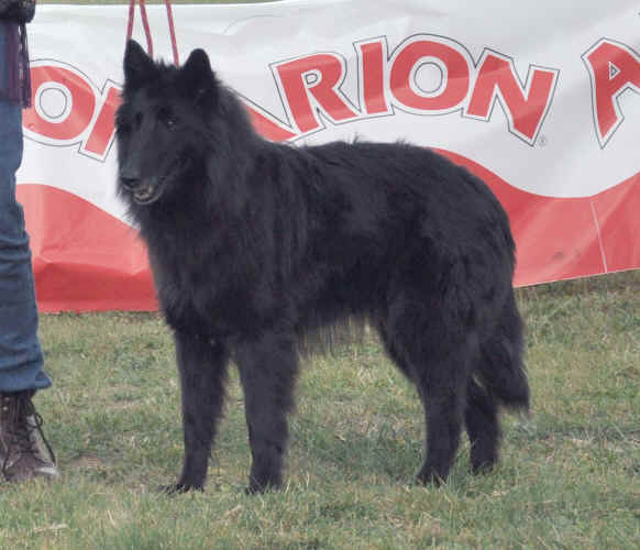 DSC_0479.JPG (250039 bytes)