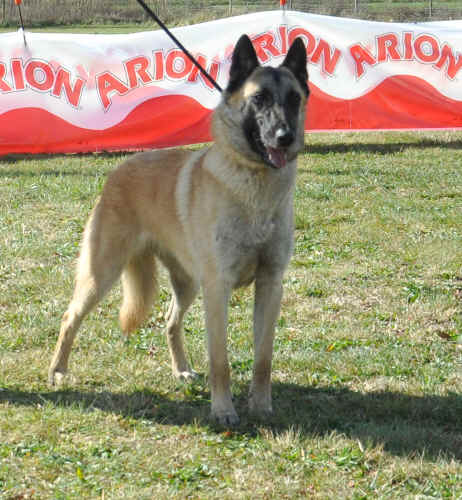 DSC_0497.JPG (297583 bytes)