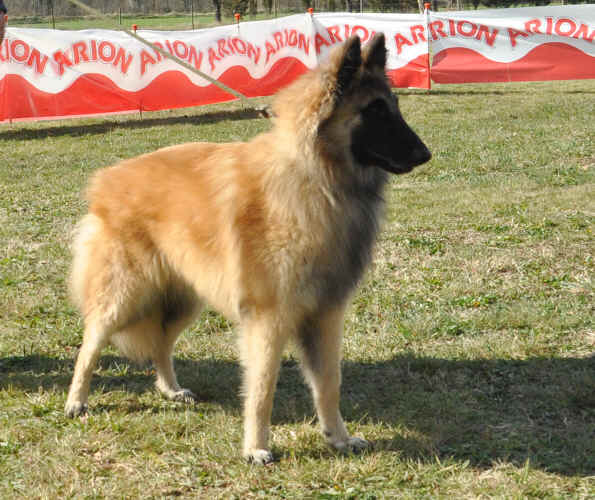 DSC_0513.JPG (355223 bytes)