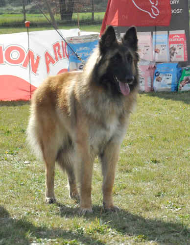 DSC_0524.JPG (233518 bytes)